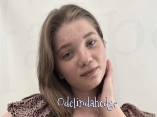 Odelindahedge