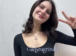 Odelynagrindel