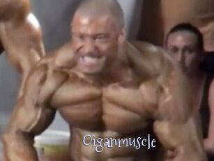 Oigan_muscle