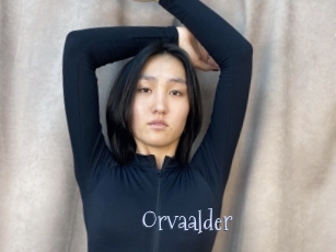 Orvaalder