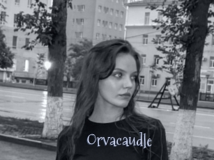 Orvacaudle