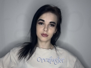 Orvafugler