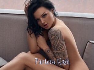 Pantera_Flash