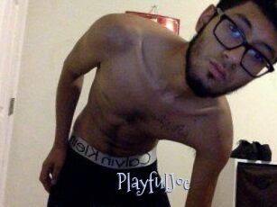PlayfulJoe