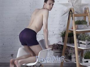 PlayfulMrR Faceporno