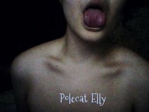 Polecat_Elly