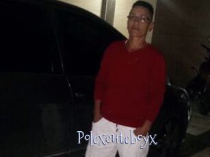 Polexcuteboyx