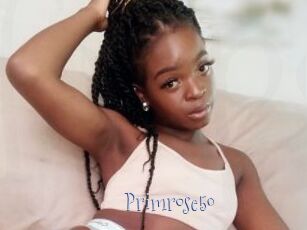 Primrose50