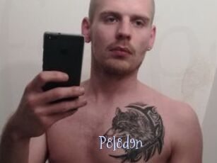 P8l8d9n