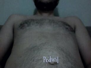 Pedwil