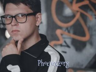 Phoenixzorg