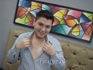 Picassoray
