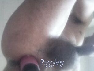 Piggyboy