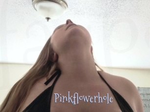Pinkflowerhole