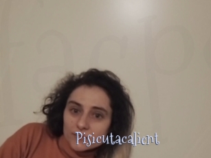 Pisicutacalient