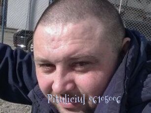 Pituliciul-06105006