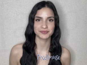 Pixelmuse