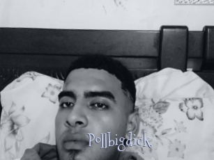 Pollbigdick