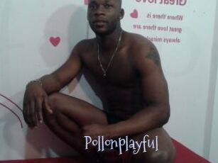 Pollonplayful