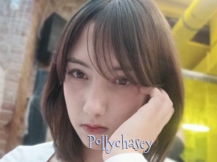 Pollychasey