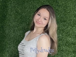 Pollydrudge
