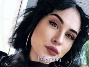Pollymurs