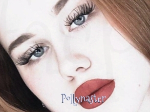 Pollynaster