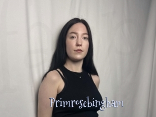 Primrosebingham