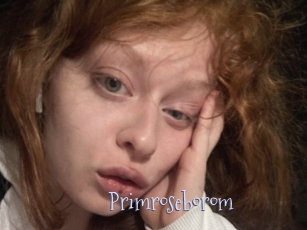 Primroseborom
