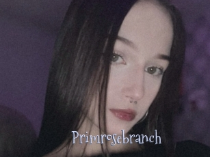 Primrosebranch