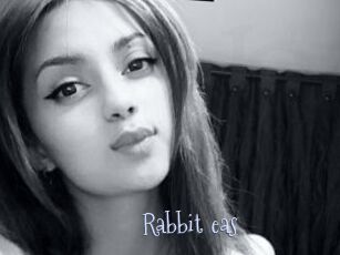 Rabbit_eas