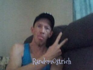 RandomOstrich