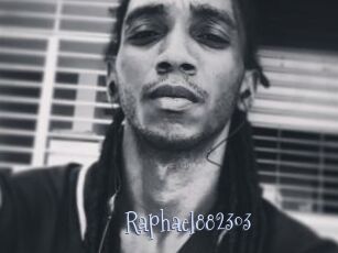 Raphael882303