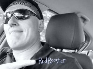 RedRooster