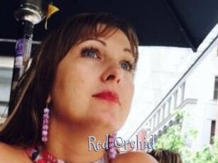 Red_Orchid
