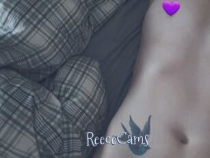 ReeceCams