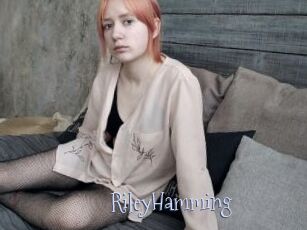 RileyHamming
