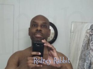 Rodney_Rabbit