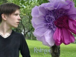 Rodrigie