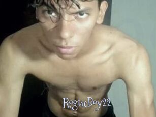 RogueBoy22