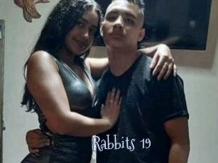 Rabbits_19