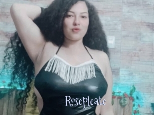 Rosepleate