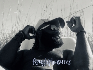 Roughpleasures