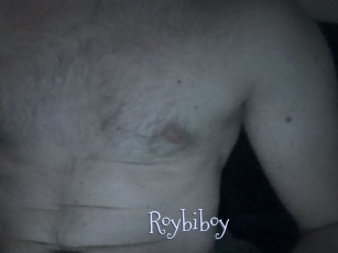 Roybiboy