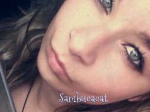 Sambucacat