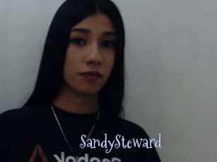 SandySteward