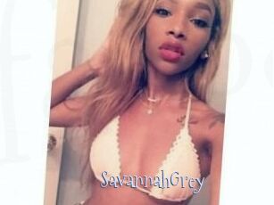 Savannah_Grey