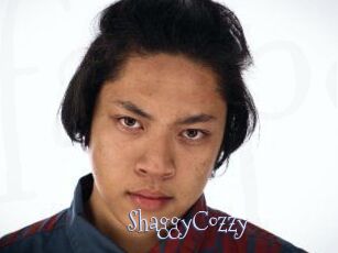 ShaggyCozzy