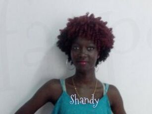 Shandy
