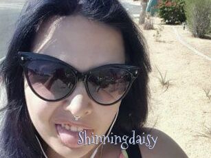 Shinningdaisy